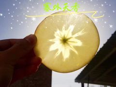 -上海龙吴水胜海发市场