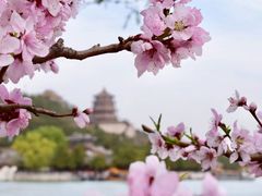 -颐和园