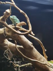 -Zoolung Zoolung动物主题公园(海信广场店)