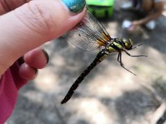 -碓臼峪自然风景区