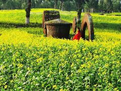 -长白岛森林公园