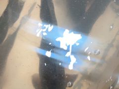 -庆岭迎宾园正宗活鱼馆