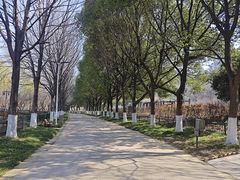 -幕燕滨江·长江观音景区