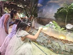 -正佳雨林生态植物园