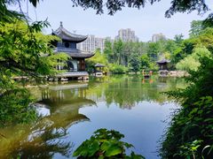 -水绘园
