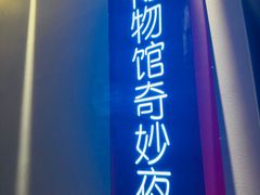 -Xcape异时刻密室逃脱魔法互动(瑞虹天地太阳宫店)