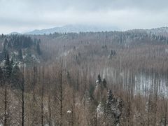 -山王坪喀斯特国家生态公园