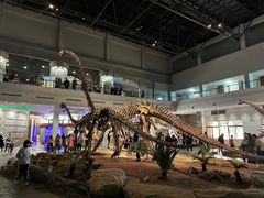-自贡恐龙博物馆