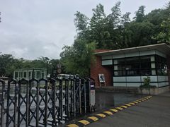 -复旦大学附属华山医院(浦东院区)