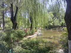 -西安市长乐公园