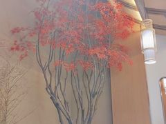 -8号厚厨(凤凰店)
