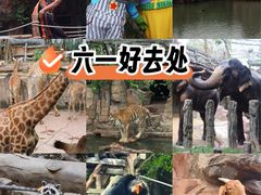 -长鹿旅游休博园