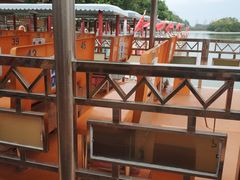 -大湾区中央湿地公园