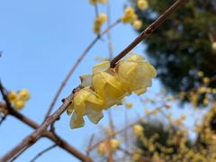 -西安关中民俗艺术博物院