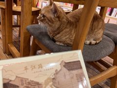 -猫的天空之城概念书店(苏州平江店)