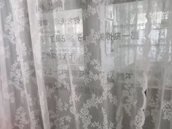 -亲吻宝贝儿童摄影