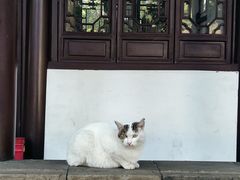 -西园戒幢律寺