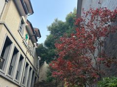 -徐家汇源景区-衡山坊