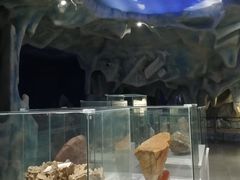 -中国第四纪冰川遗迹陈列馆