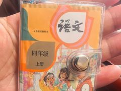 -观潮胜地公园