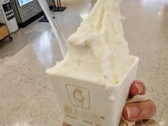 -野人先生Gelato(上海长宁龙之梦店)