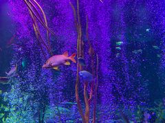 -沈阳海洋探索中心