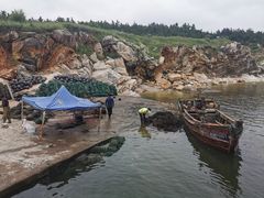 -养马岛旅游度假区