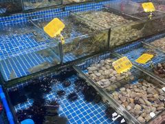 -滑记海鲜饭店·老字号(海鲜街店)