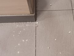 -振鼎鸡(华阴路店)