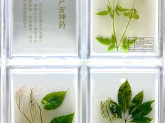 -广东中医药博物馆