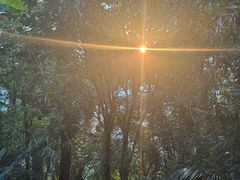 -七仙岭温泉国家森林公园