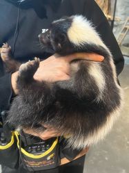 -Zoolung Zoolung动物主题公园(海信广场店)