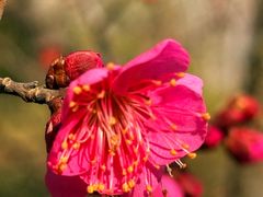 -狼山风景名胜区
