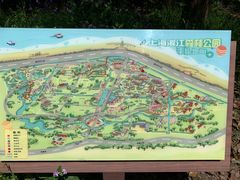 -上海滨江森林公园