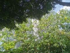 -广州市白云区图书馆