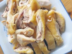 -大树下饭店(春晓镇慈岙社区卫生服务站南)