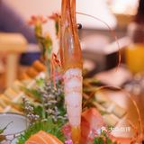 在舌尖味蕾之间 感受阿吾罗的认真🍣