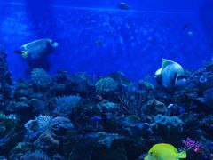 -成都浩海立方海洋公园