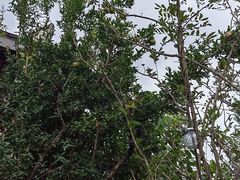 -城南综合水果批发市场(花园路店)