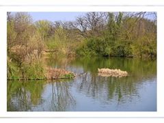 -西溪国家湿地公园