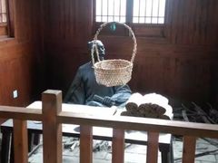 -白马涧龙池景区