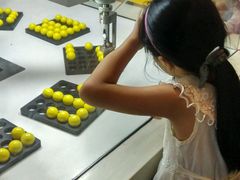 -广东科学中心
