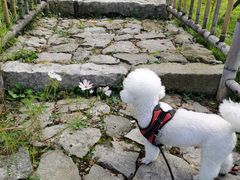 -罗田天堂寨风景区