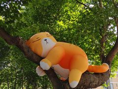 -西安电影制片厂