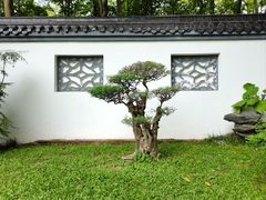 -深圳国际园林花卉博览园