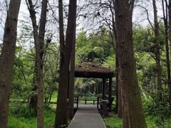 -同里国家湿地公园