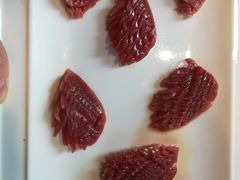 -红鼎坊·老成都火锅(新南门店)