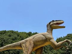 -栾川竹海野生动物园