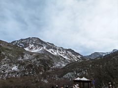 -黄龙山原始森林景区