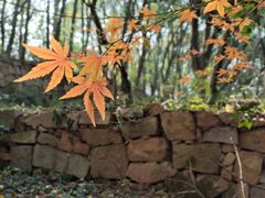 -白马涧龙池景区